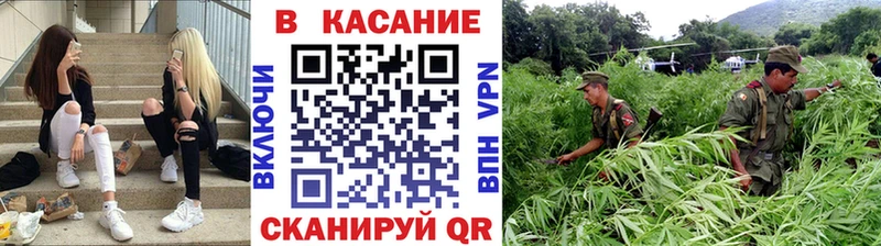 Где найти наркотики Ужур Кокаин  ГАШИШ  Галлюциногенные грибы  Канабис 