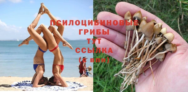 ALPHA PVP Армянск