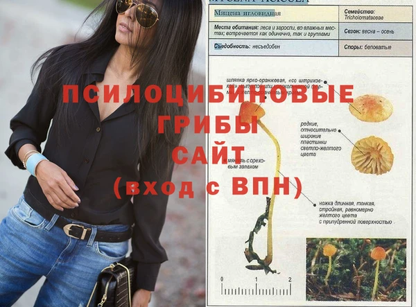 ALPHA PVP Армянск