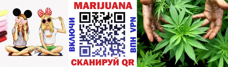 Канабис сатива  МЕГА маркетплейс  Ужур  наркотики 